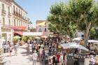 Terre Vivante, Marché potier